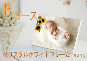 Bコースクリスタルホワイトフレーム
